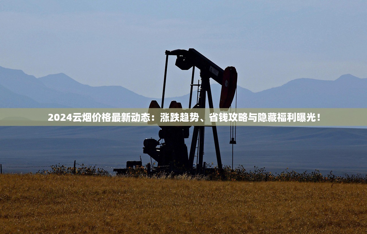 2024云烟价格最新动态：涨跌趋势、省钱攻略与隐藏福利曝光！
