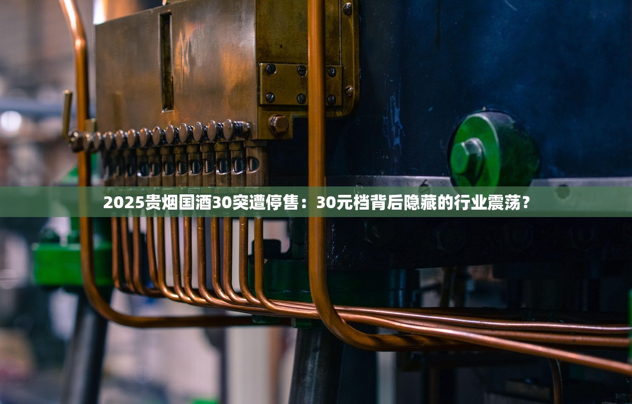 2025贵烟国酒30突遭停售：30元档背后隐藏的行业震荡？