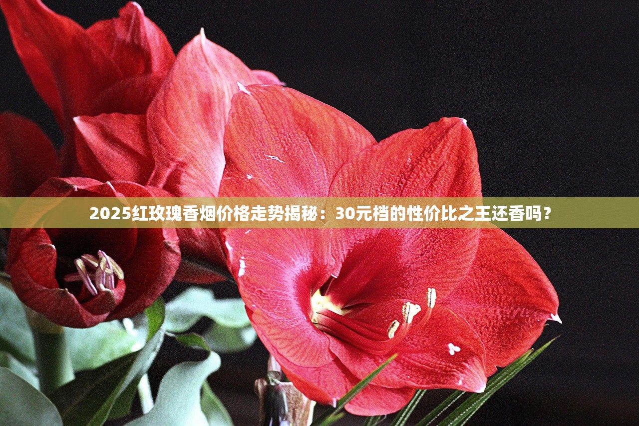 2025红玫瑰香烟价格走势揭秘：30元档的性价比之王还香吗？