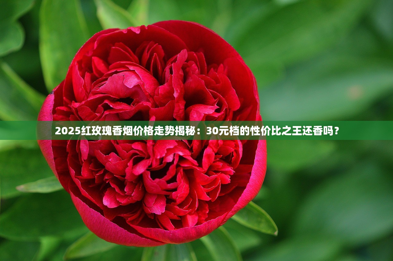 2025红玫瑰香烟价格走势揭秘：30元档的性价比之王还香吗？
