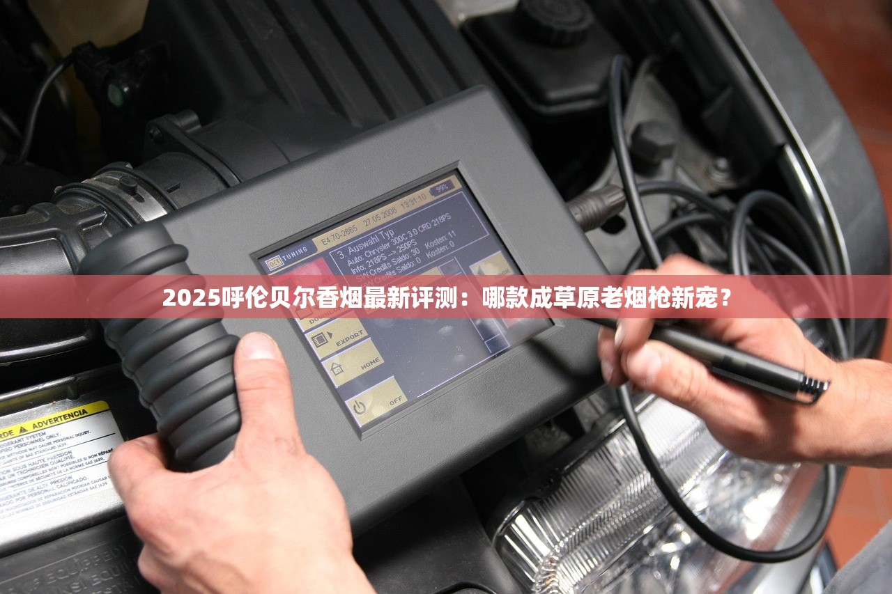 2025呼伦贝尔香烟最新评测：哪款成草原老烟枪新宠？