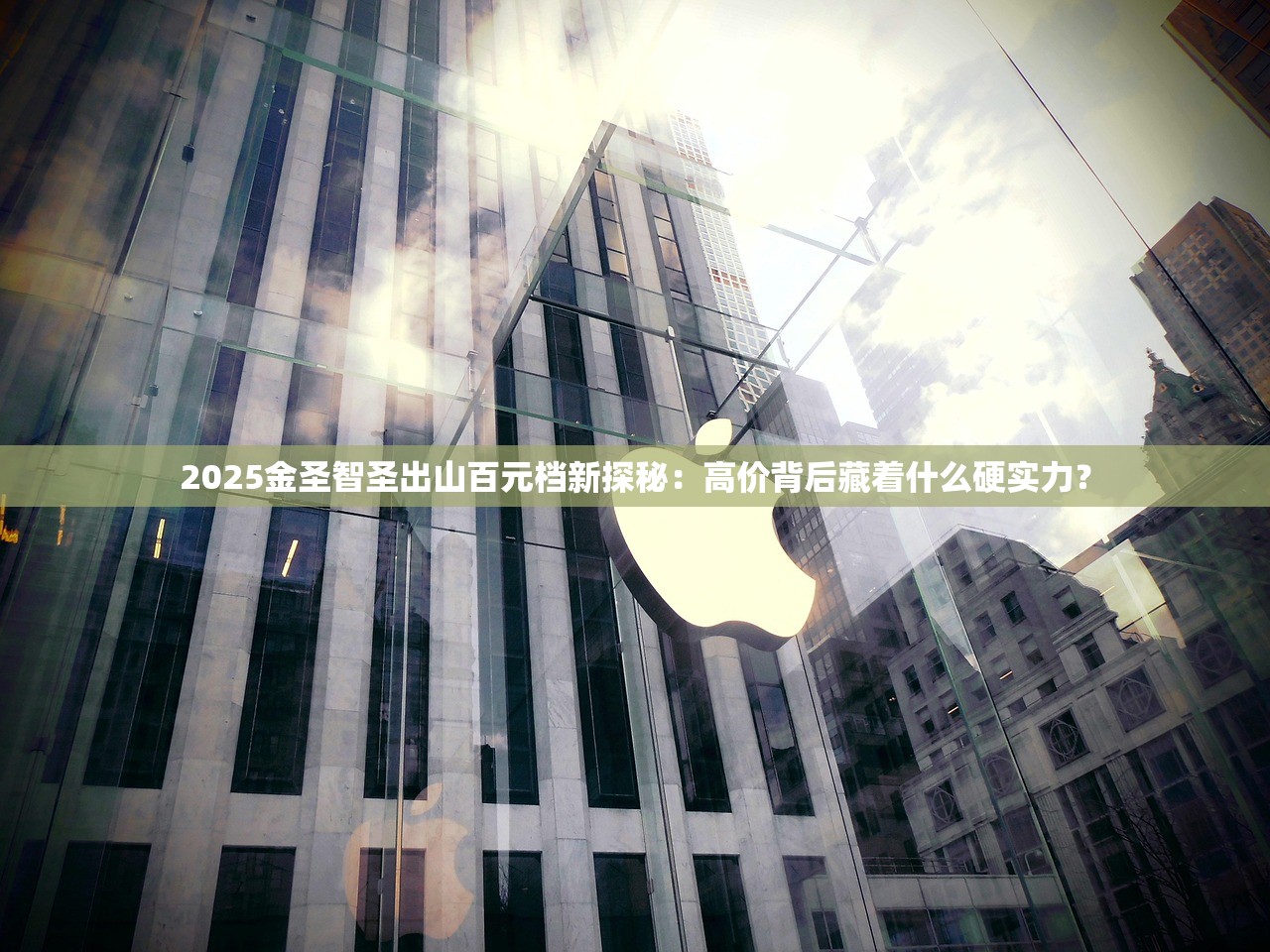 2025金圣智圣出山百元档新探秘：高价背后藏着什么硬实力？