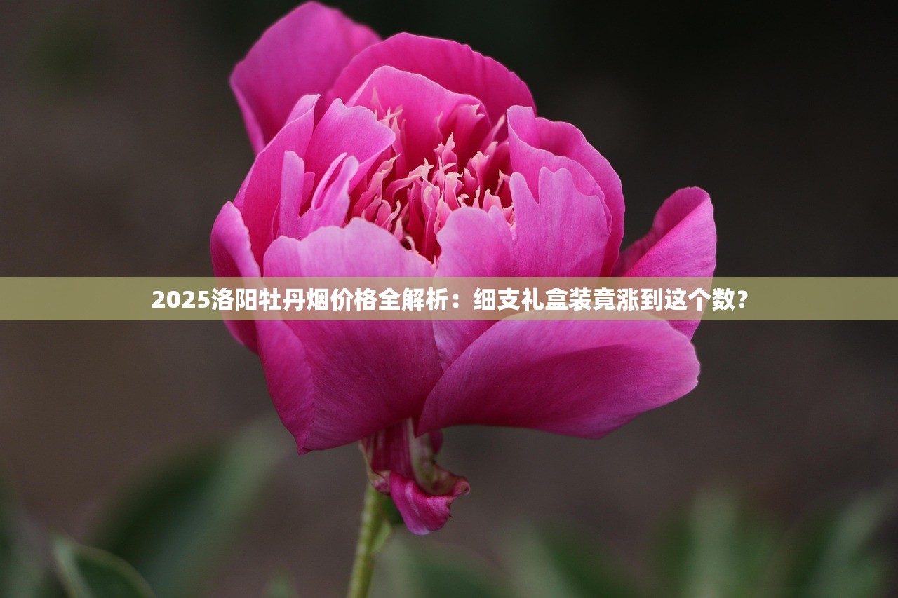 2025洛阳牡丹烟价格全解析：细支礼盒装竟涨到这个数？