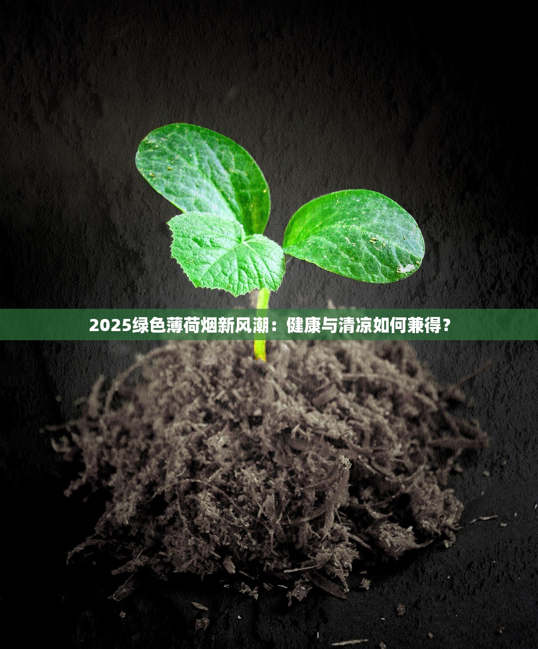2025绿色薄荷烟新风潮：健康与清凉如何兼得？