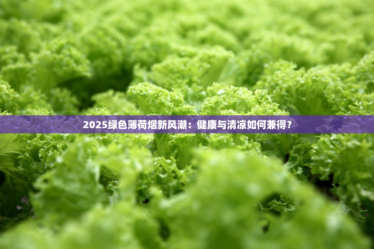 2025绿色薄荷烟新风潮：健康与清凉如何兼得？