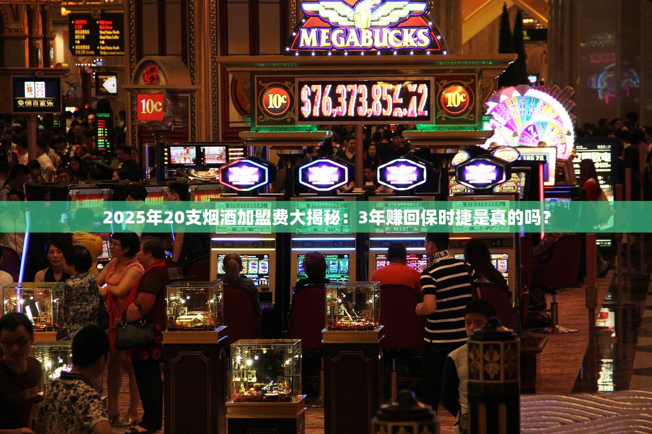 2025年20支烟酒加盟费大揭秘：3年赚回保时捷是真的吗？