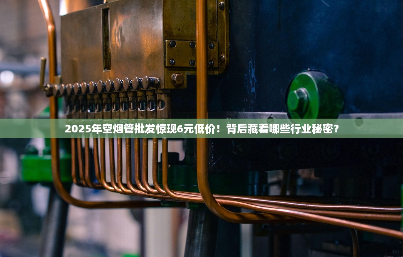 2025年空烟管批发惊现6元低价！背后藏着哪些行业秘密？