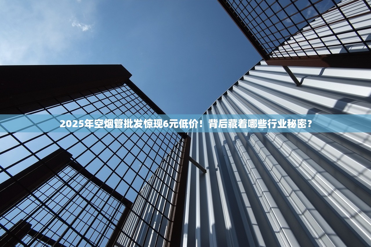 2025年空烟管批发惊现6元低价！背后藏着哪些行业秘密？