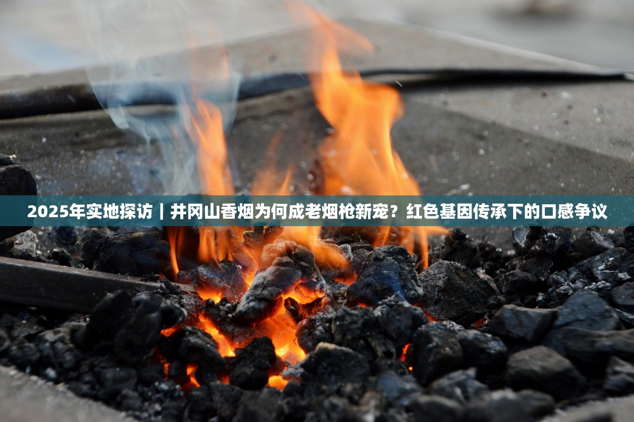 2025年实地探访｜井冈山香烟为何成老烟枪新宠？红色基因传承下的口感争议