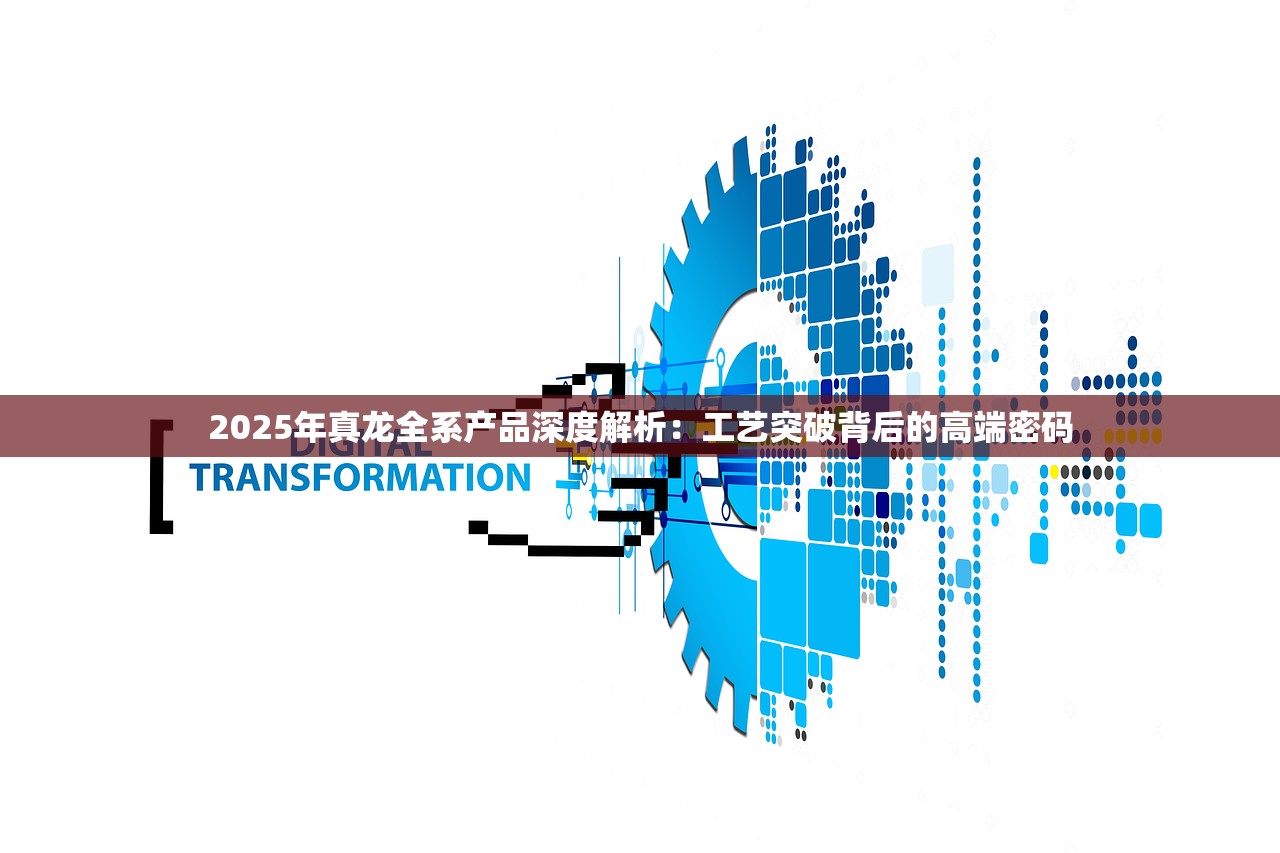 2025年真龙全系产品深度解析：工艺突破背后的高端密码