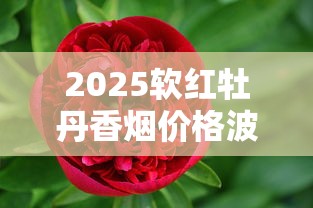 2025软红牡丹香烟价格波动内幕：一包涨到18元还值得买吗？