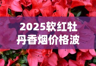2025软红牡丹香烟价格波动内幕：一包涨到18元还值得买吗？
