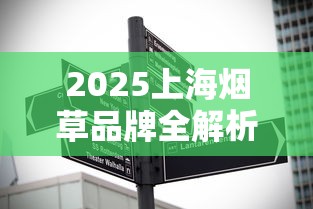 2025上海烟草品牌全解析：这五大经典款为何经久不衰？