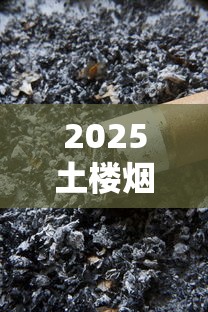 2025土楼烟1575停产风波调查：烟民必看的囤货指南