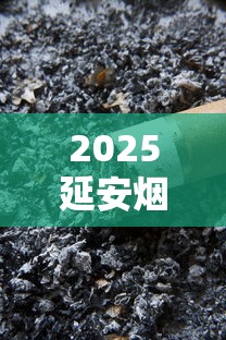 2025延安烟1985价格曝光！老烟民直呼“没想到”的收藏价值