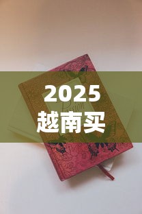 2025越南买烟回国必看：超量香烟会被海关扣留吗？