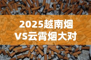 2025越南烟VS云霄烟大对比：谁才是老烟枪的性价比之选？