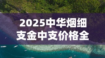 2025中华烟细支金中支价格全面解析：市场动态与选购技巧