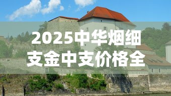2025中华烟细支金中支价格全面解析：市场动态与选购技巧