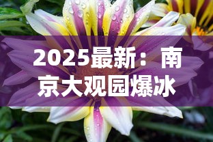 2025最新：南京大观园爆冰价格曝光！这钱花得值吗？