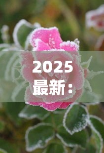 2025最新：南京大观园爆冰价格曝光！这钱花得值吗？