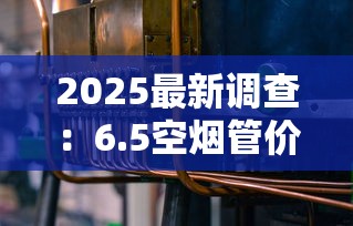 2025最新调查：6.5空烟管价格暴跌？每盒低至XX元背后真相
