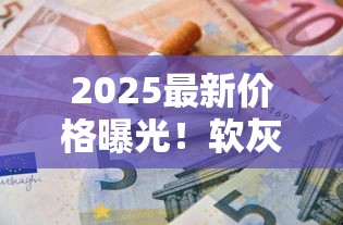 2025最新价格曝光！软灰七匹狼香烟单包多少钱？烟民必看省钱攻略