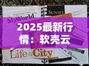 2025最新行情：软壳云烟价格全解析，这些款竟涨价超20%！