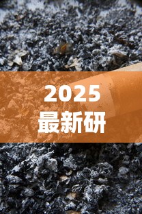 2025最新研究：香烟危害触目惊心 你的肺可能已报警