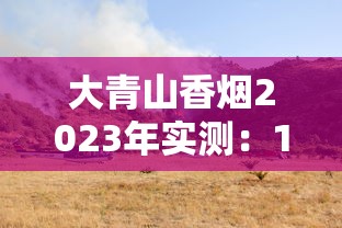 大青山香烟2023年实测：10年老烟民亲测口感，低价烟真能媲美中华？