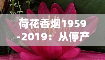 荷花香烟1959-2019：从停产到爆红的60年秘史与崛起真相