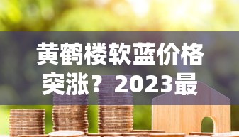 黄鹤楼软蓝价格突涨？2023最新市场行情与省钱攻略揭秘