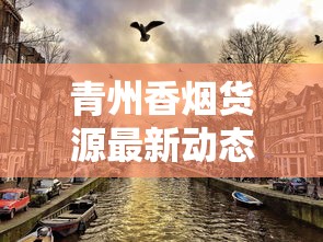青州香烟货源最新动态：低价渠道暗藏玄机？2023年批发商生存指南
