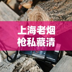 上海老烟枪私藏清单曝光！2023最新隐藏款香烟测评来了