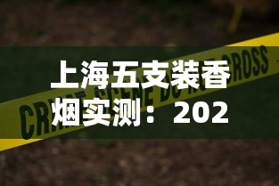 上海五支装香烟实测：2024最新测评，老烟枪为何集体种草？
