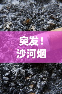 突发！沙河烟为何突然停产？老烟民必看的深度解析