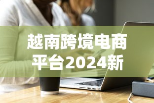 越南跨境电商平台2024新规：香烟卖家如何抓住政策红利与规避风险？