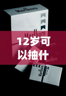 12岁可以抽什么烟_七星香烟购买指南_正规烟草店能卖外烟么