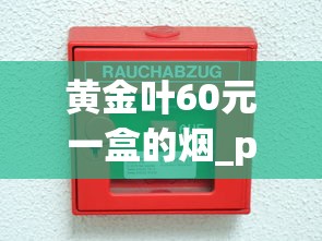 黄金叶60元一盒的烟_peel百乐香烟在哪里买_越南高价香烟盘点