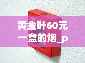 黄金叶60元一盒的烟_peel百乐香烟在哪里买_越南高价香烟盘点