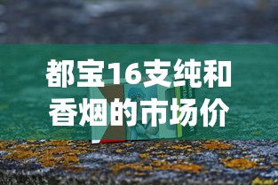 都宝16支纯和香烟的市场价格解析_云霄香烟批发代理_老船长香烟在哪个网买