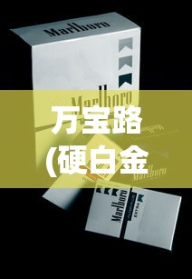 万宝路(硬白金西班牙版)价格查询_电子香烟在哪购_黄鹤楼短软盒香烟价格
