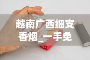 越南广西细支香烟_一手免税香烟批发代理_16元的黄鹤楼有几种