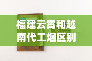 福建云霄和越南代工烟区别_广西100元一包的烟_细支烟大全500种