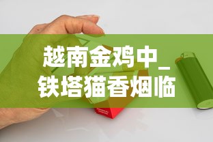 越南金鸡中_铁塔猫香烟临沂_烟去哪里批发才便宜