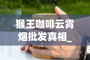 猴王咖啡云霄烟批发真相_免税烟进口烟_市场上的外国香烟