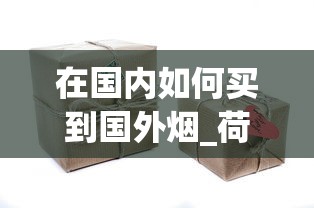 在国内如何买到国外烟_荷花50元一包的烟_中烟积分商城