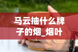 马云抽什么牌子的烟_烟叶可以种植吗_raison香烟是不是禁烟