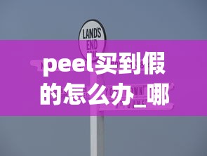 peel买到假的怎么办_哪能批发买中华_越代黑箱是什么意思