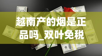 越南产的烟是正品吗_双叶免税香烟多少钱一条_1688香烟网香烟的购买方式